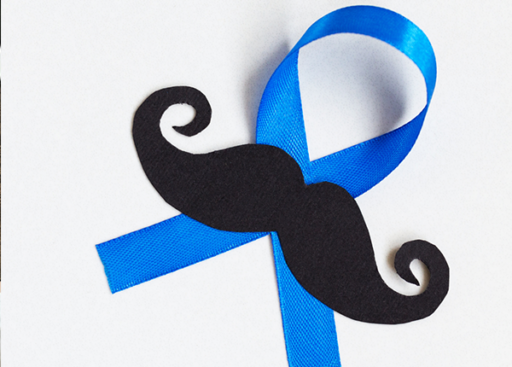 movember-alienor-courtage-financement-dordogne-lot-correze-charente-gironde-lot-et-garonne